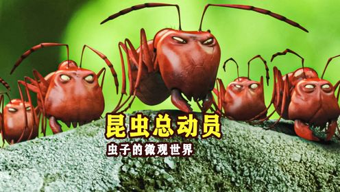 红黑蚂蚁间的大战,人类扔的垃圾成了武器《昆虫总动员》_电影_高清