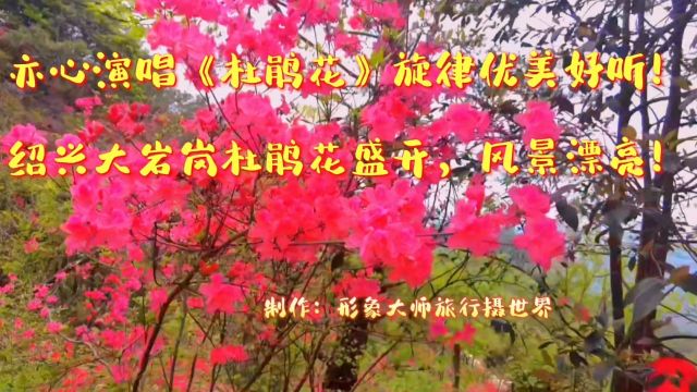 亦心演唱《杜鹃花》旋律优美好听!