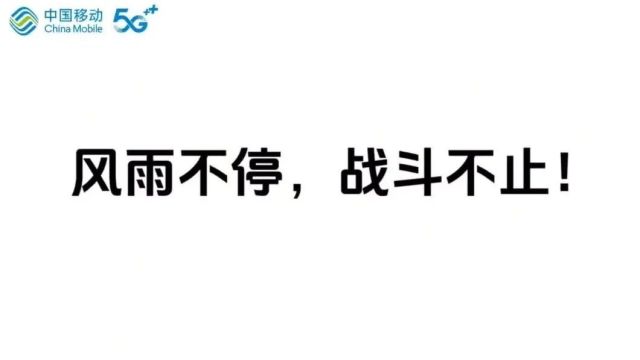 暴雨中的通信守护者:阳山网络抢修纪实