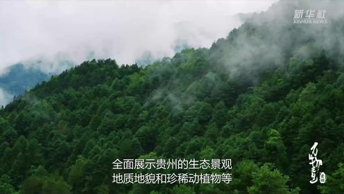 纪录片《万物之生·贵州篇》展现美丽生态画卷