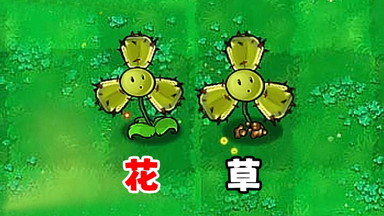 三叶草变三叶花，可以长生不死了？_高清1080P在线观看平台_腾讯视频
