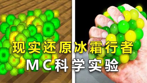 我的世界：MC科学小实验，啊？在现实中也能还原冰霜行者？