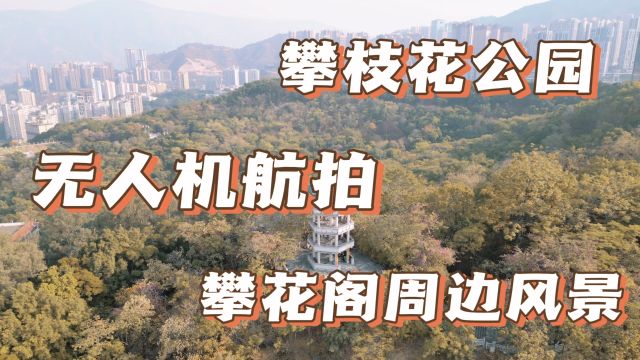 无人机拍摄,攀枝花公园攀花阁及周边风景!1未完待续……