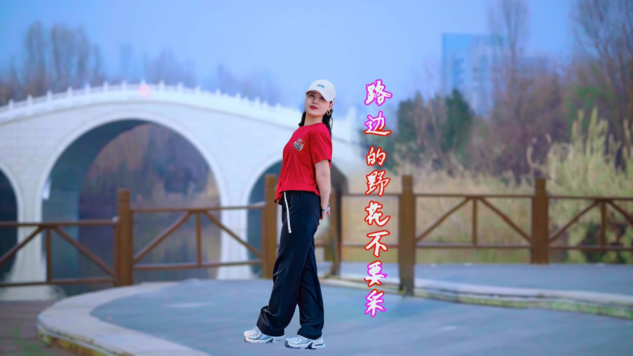 老歌广场舞《路边的野花不要采》简单又好看