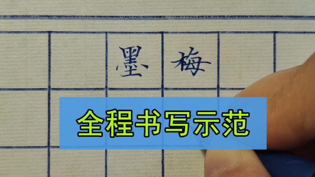 “墨梅”硬笔楷书作品书写示范,行云流水一气呵成,太治愈了