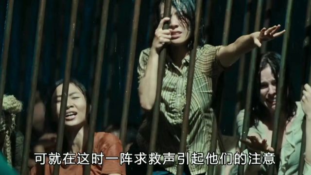 2024最新动作电影强势来袭(下)