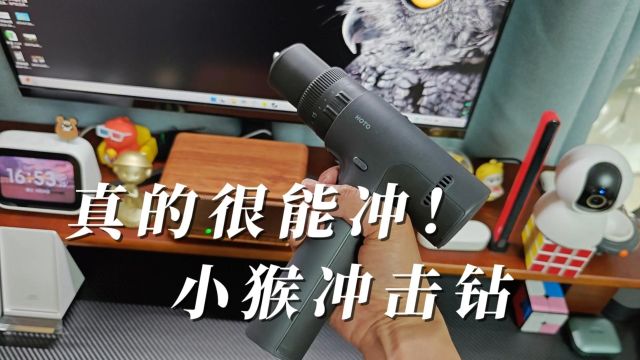 它真的很会冲——小猴冲击钻