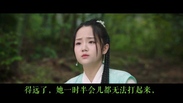 《花颜策》(20)拖累