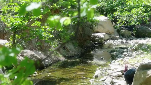 日照市五莲县:不负夏日好时光 万物蓬勃向阳,尘世充满希望,来日照市五莲县沉醉一段倾城的夏日时光!诗意正浓,期待与你邂逅云里山城,看遍夏日好光...