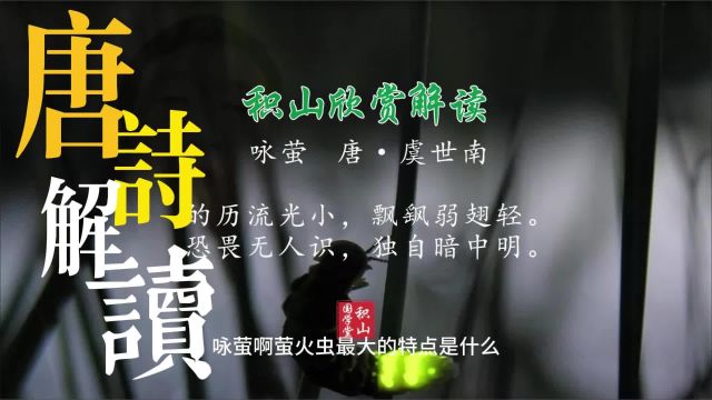 解读唐诗:虞世南的咏萤