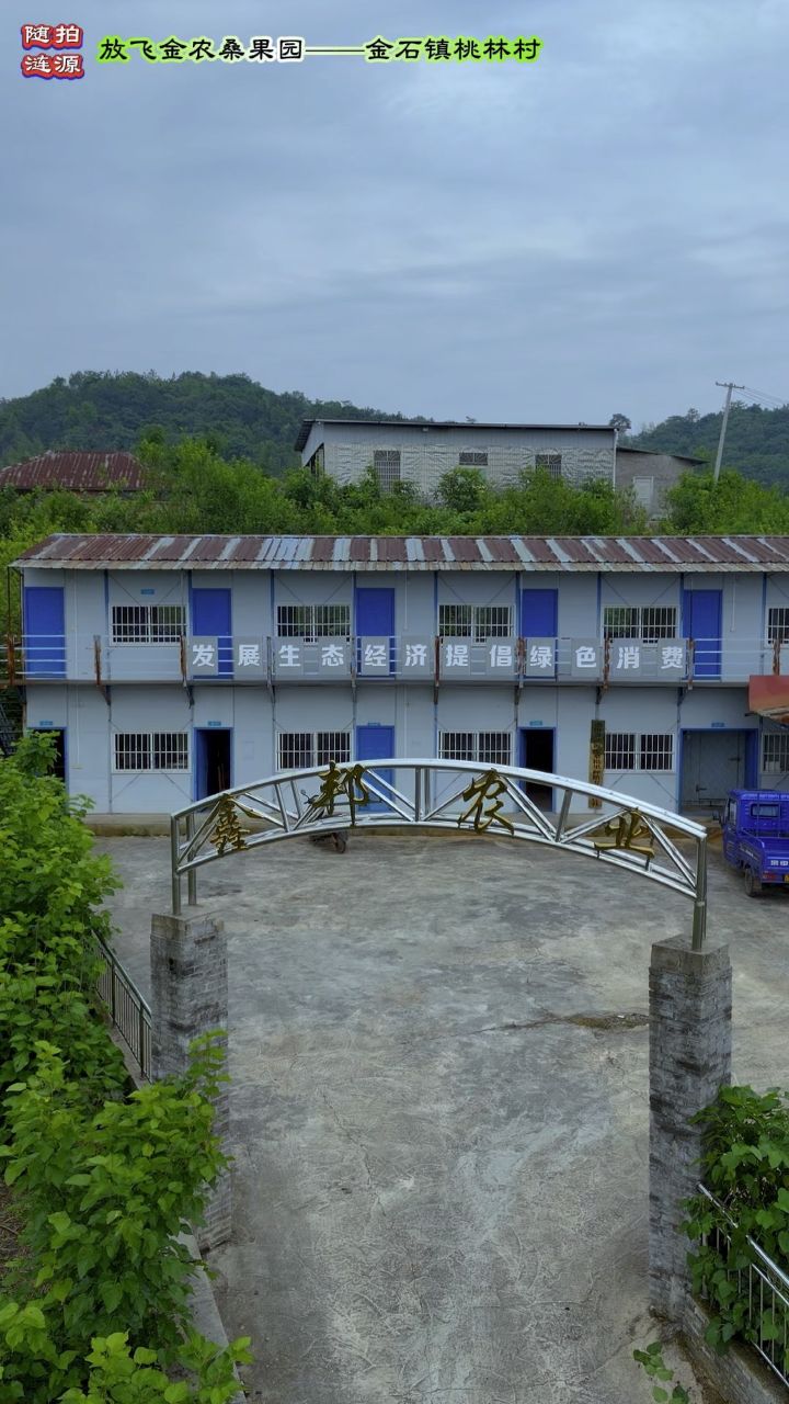 随拍涟源:放飞金农桑果园——金石镇桃林村