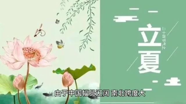 【立夏学生讲首课】初夏清宁,风暖人间草木香