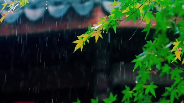 “岁月逢春,细雨惊落,一切都在酝酿关于美好的希望”