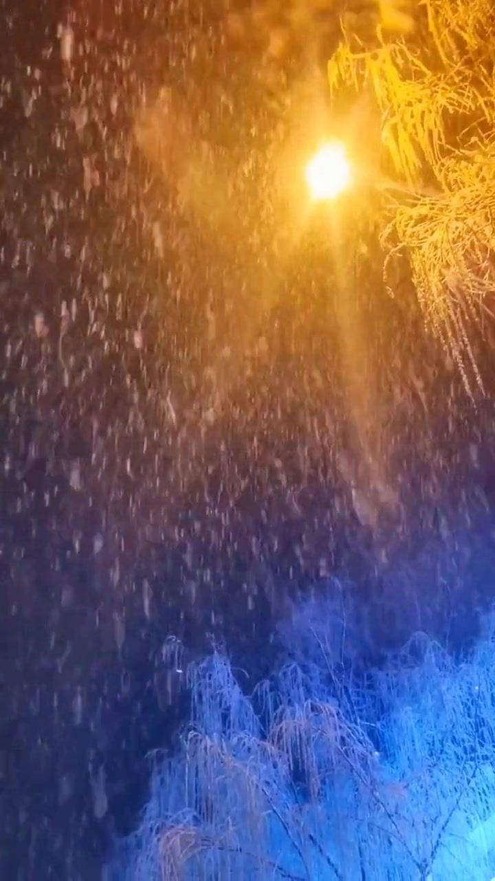 雪花飘飘北风萧萧 #你的城市下雪了吗