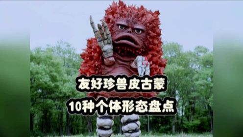 盘点友好珍兽皮古蒙历代剧集中登场过的个体