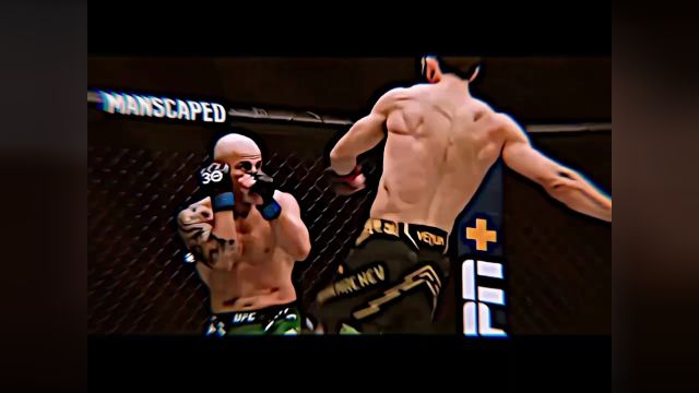 ufc综合格斗