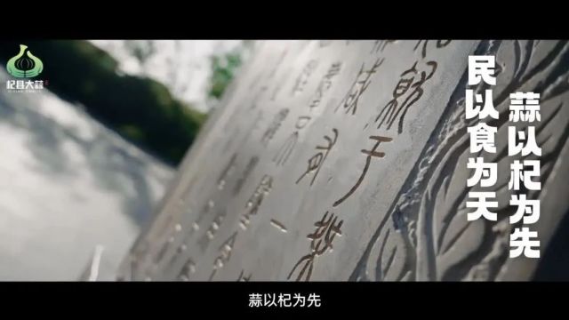 活动品牌|2024开封(杞县)乡村文化节成功举办