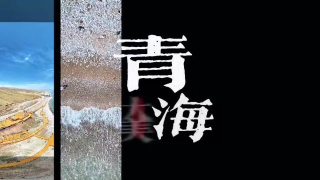 【高质量发展区域调研行】去黑马河观碧海 看飞鸟