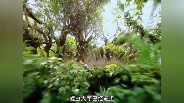 好看电影推荐178