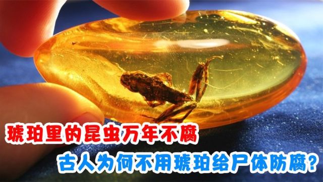 琥珀里的昆虫万年不腐,古人为何不用琥珀给尸体防腐?