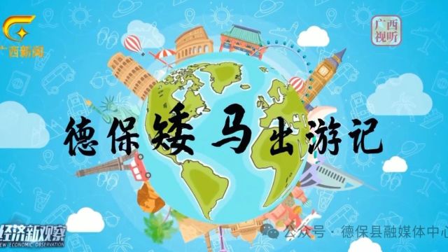 【乡村振兴看广西】“马中熊猫”德保矮马出游记