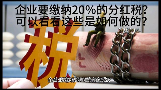 企业要缴纳20%的分红税?可以看看这些是如何做的