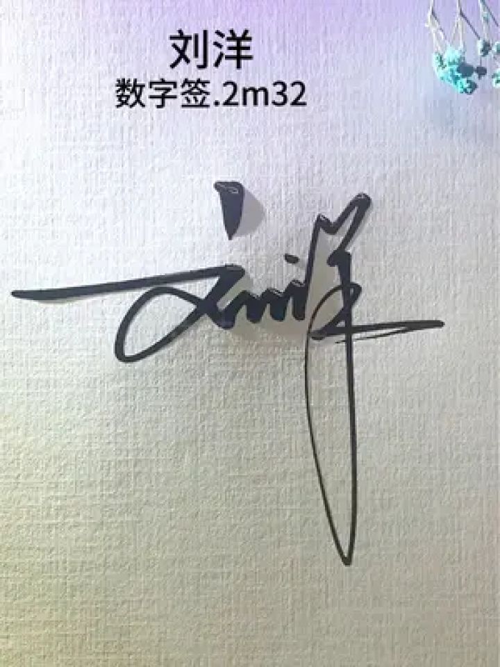 这样签名真的简单又好看,刘洋,数字签.2m32.还有要设计的吗?