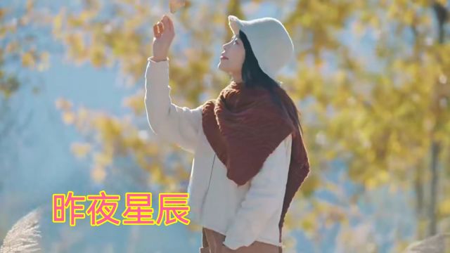 经典金曲《昨夜星辰》,经典回味