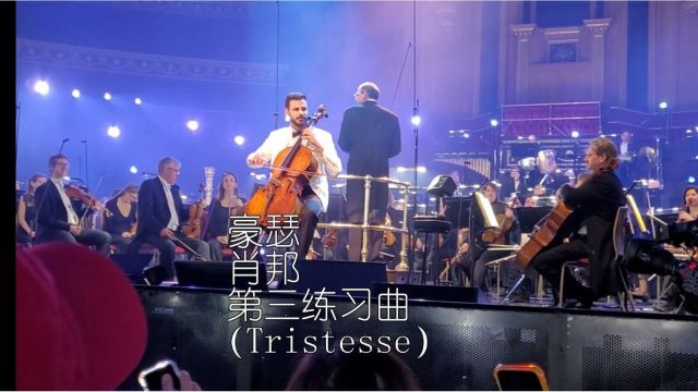 豪瑟 肖邦第三练习曲,Op 10(Tristesse)