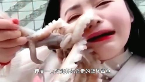 被蓝环章鱼咬了怎么办图片