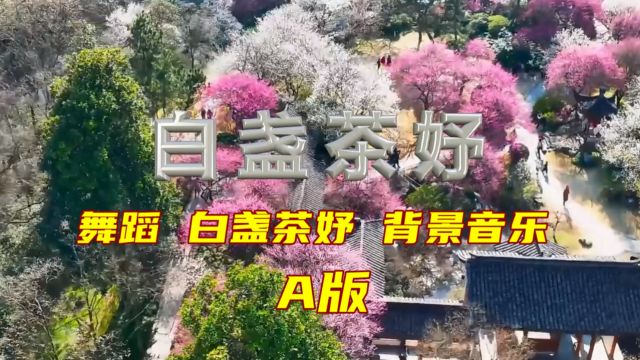 舞蹈《白盏茶妤》音乐 舞台背景(A版)