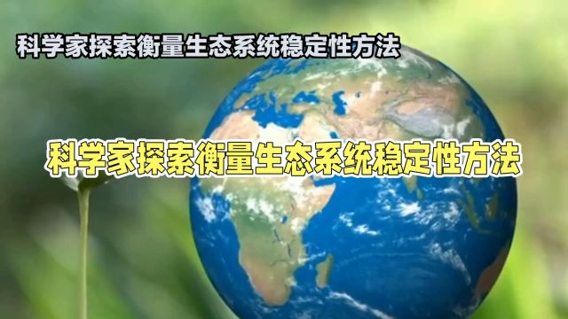 衡量生态系统的稳定性:科学方法护航自然之美