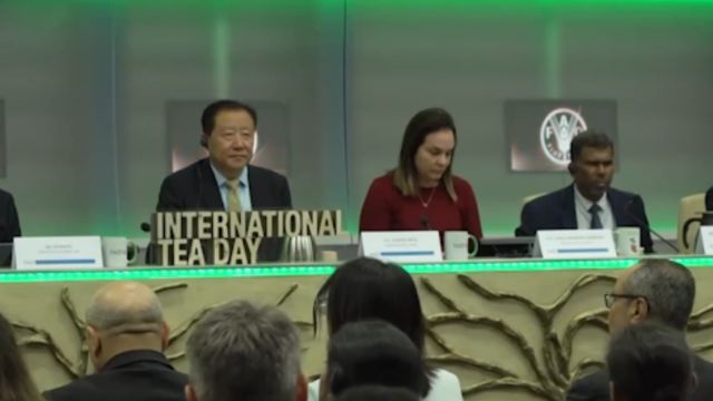 联合国粮农组织举行“国际茶日”庆祝活动,聚焦茶文化和行业发展