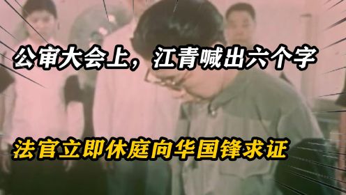 80年公审大会上，江青当众喊出六个字，法官立即休庭向华国锋求证
