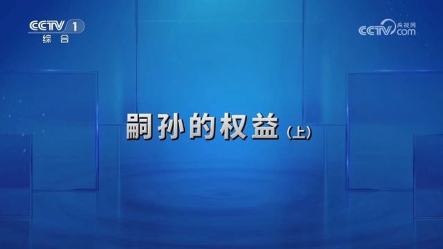 嗣孙的权益:《今日说法》聚焦岳阳法院审理的这起案件!