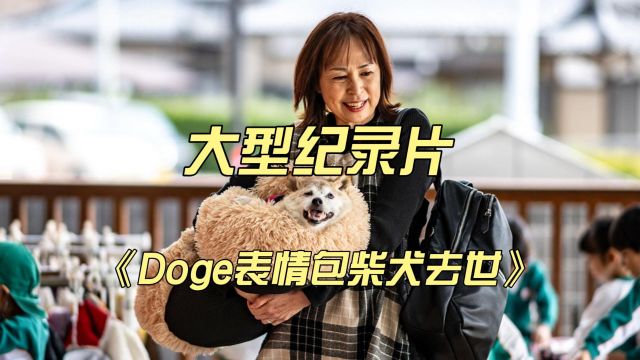 大型纪录片《Doge表情包柴犬去世》