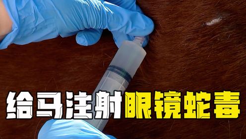抗蛇毒血清居然是马生产的!_高清1080P在线观看平台_腾讯视频