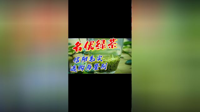 信阳毛尖是中国名茶之一.素来以“细、圆、光、直、多白毫、香高、味浓、汤色绿”的独特风格而饮誉中外! #美味大搜罗