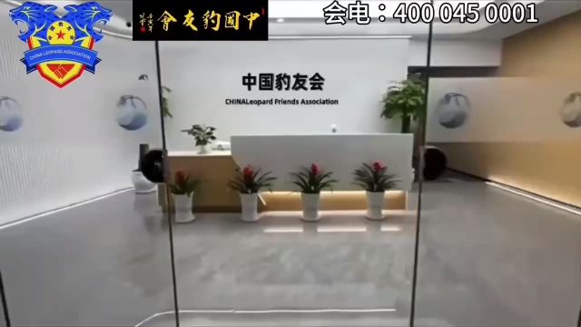 豹友会