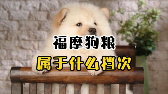 福摩狗粮属于什么档次?