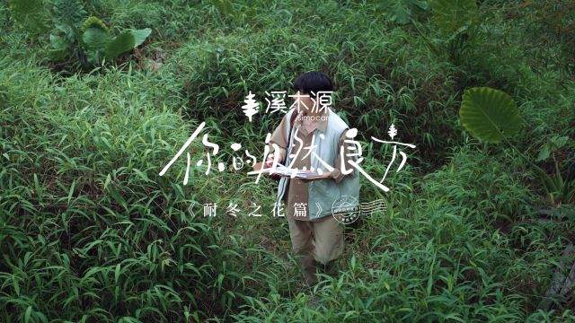 240525【王源】溪木源品牌代言人正式官宣