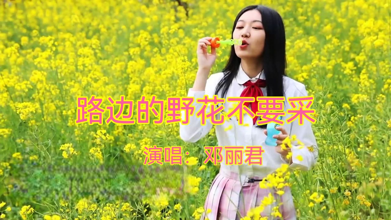 经典金曲《路边的野花不要采》,经典回味