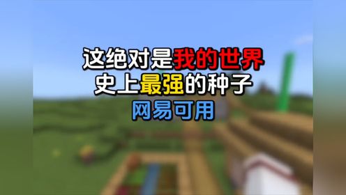 这绝对是我的世界,史上最强的种子,网易可用02