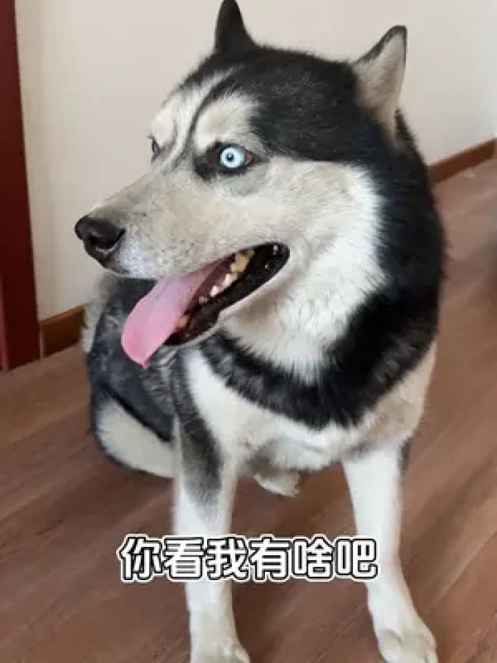 720_1280竖版 竖屏