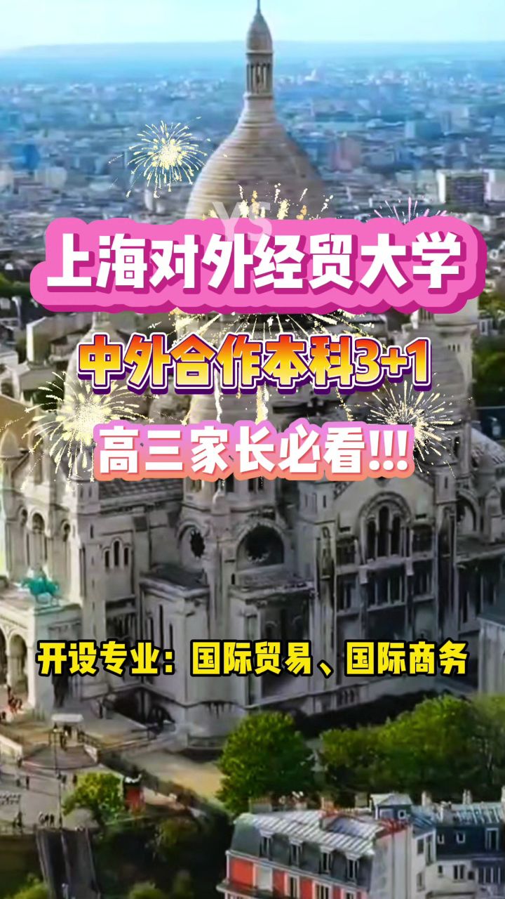 上海对外经贸大学中外合作本科3 1