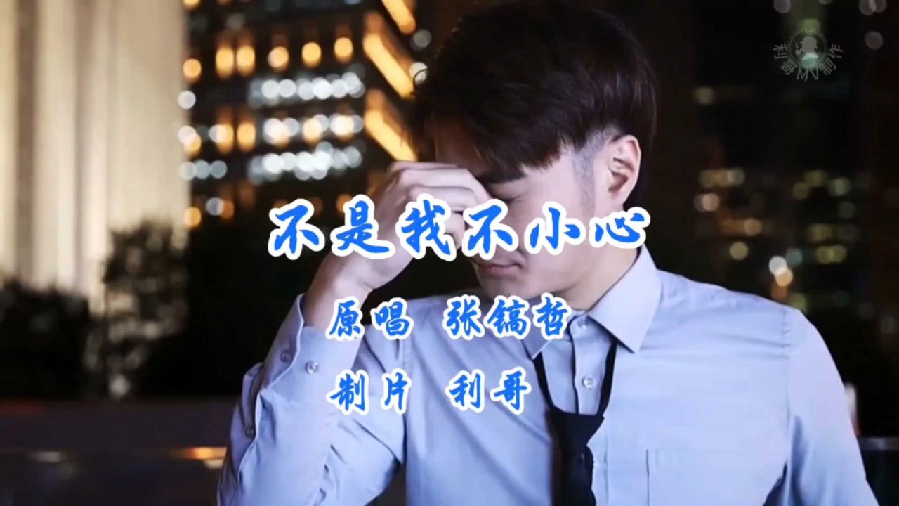 张镐哲《不是我不小心》