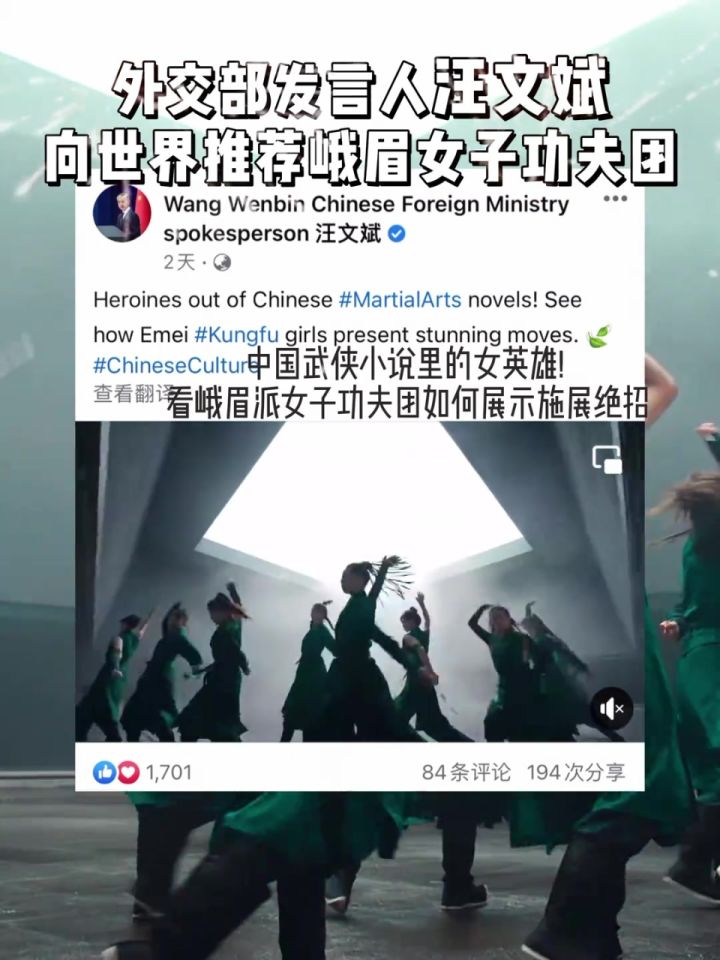 峨眉派女弟子飒出重围#峨眉派女弟子重现江湖#峨眉派女子功夫团