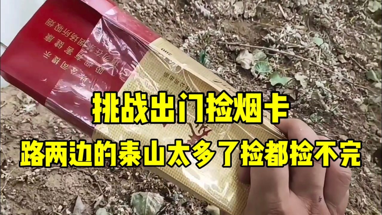 挑战出门捡烟卡,道路两边的烟卡太多了,捡都捡不完!_高清1080P在线观看平台_腾讯视频