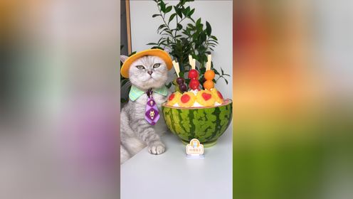 猫王：夏天就要痛快吃冰，菠萝花牛奶冰真过瘾！