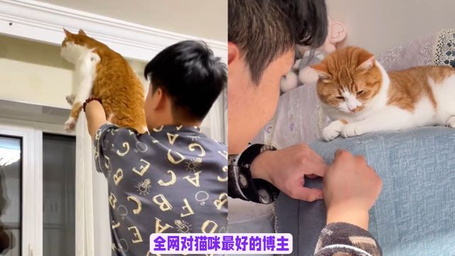 被称最真心宠猫的博主,不仅不强迫猫咪拍视频,还给予尊重和宠爱